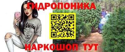 стаф Кинель