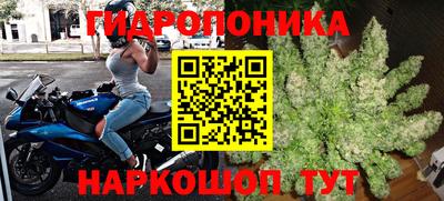 мяу мяу мука Кингисепп