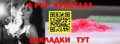 стаф Кинель